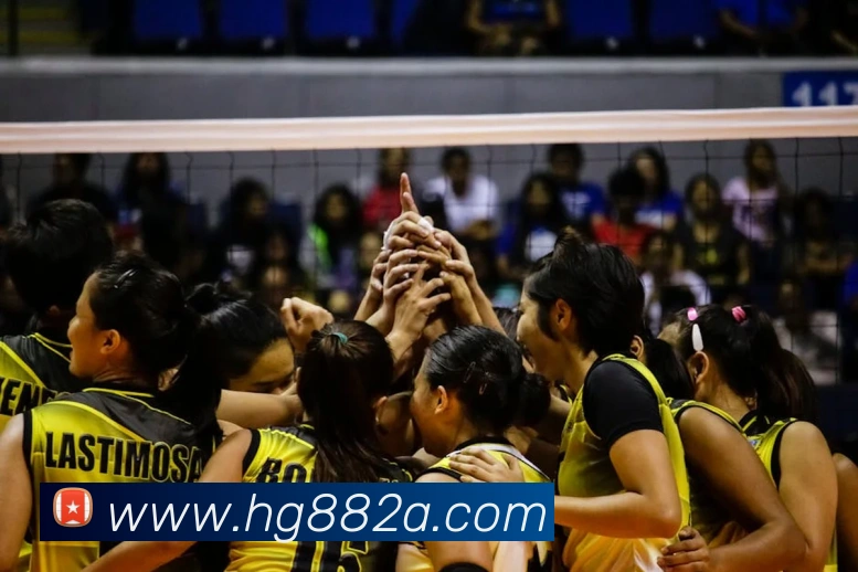 用户互动社区